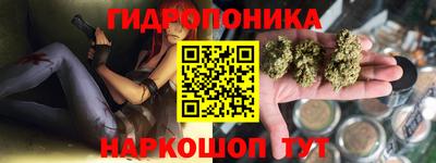крисы Беслан