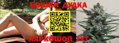 крисы Беслан