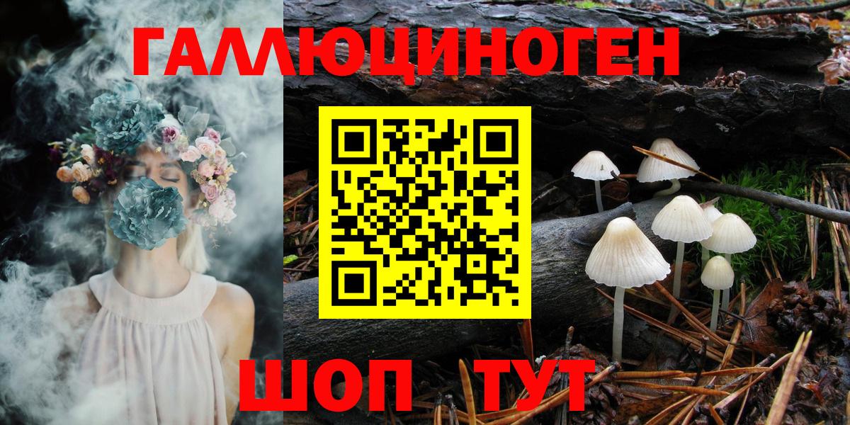 цена   Вход с VPN  Волгоград  Псилоцибиновые грибы Magic Shrooms 
